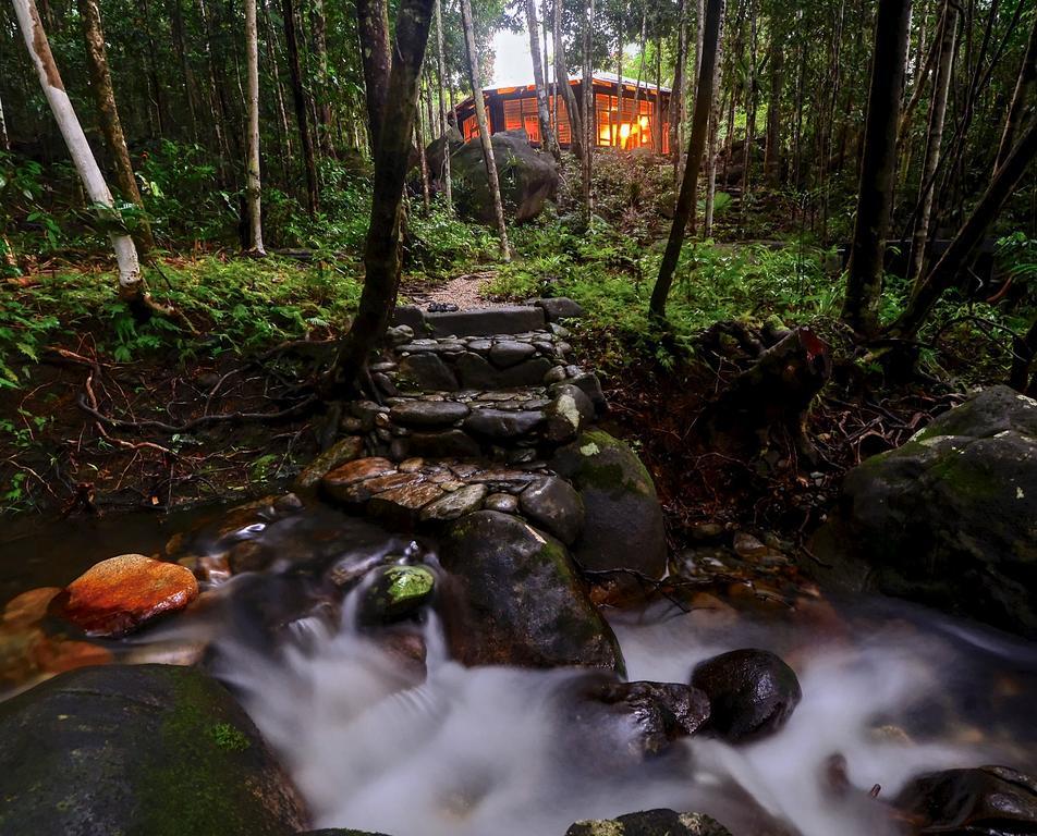 Daintree Cascades Villa Cape Tribulation Exterior photo